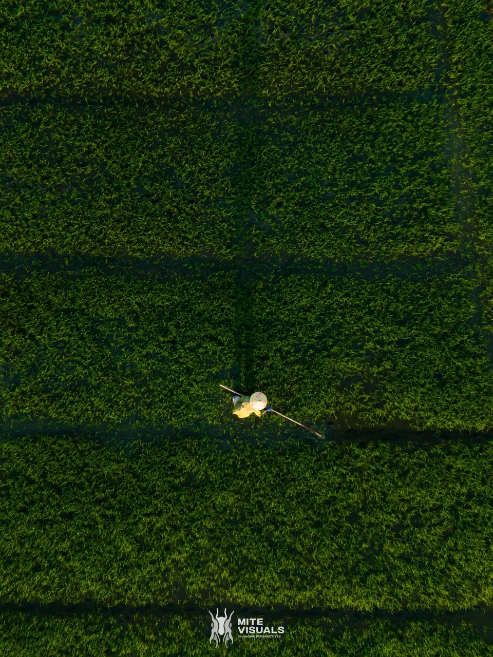 Stray Vietnam web @mitevisuals-519.jpg