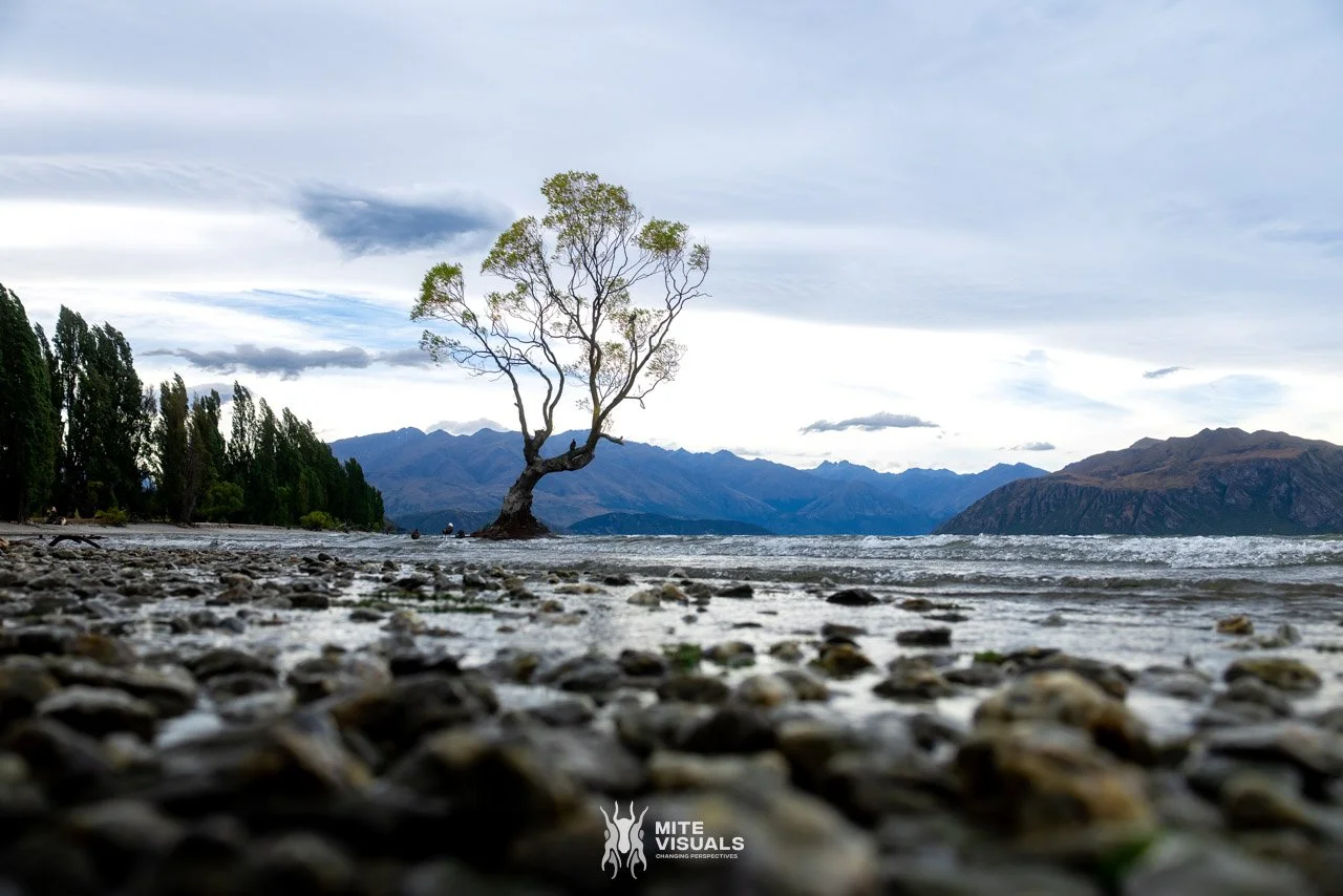 New Zealand 2026 web - Mite Visuals-681.jpg