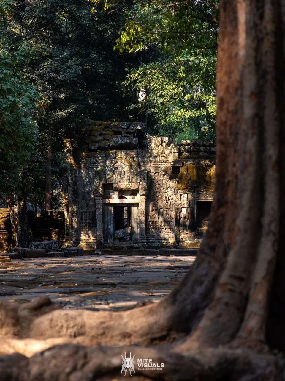 Cambodia 2026 web - Mite Visuals-69.jpg