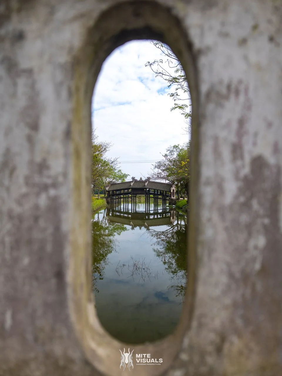 Stray Vietnam web @mitevisuals-321.jpg