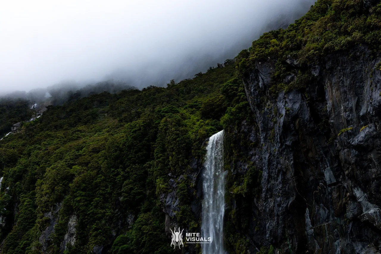 New Zealand 2026 web - Mite Visuals-767.jpg