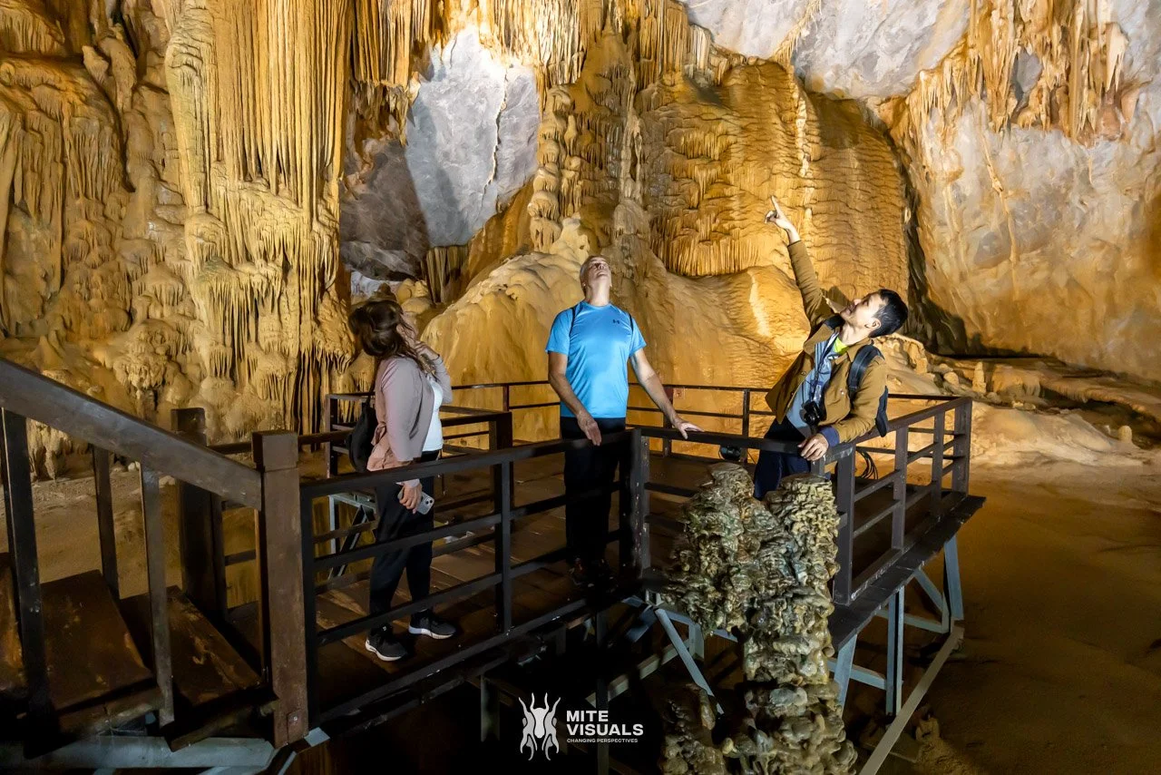 Stray Vietnam web @mitevisuals-207.jpg