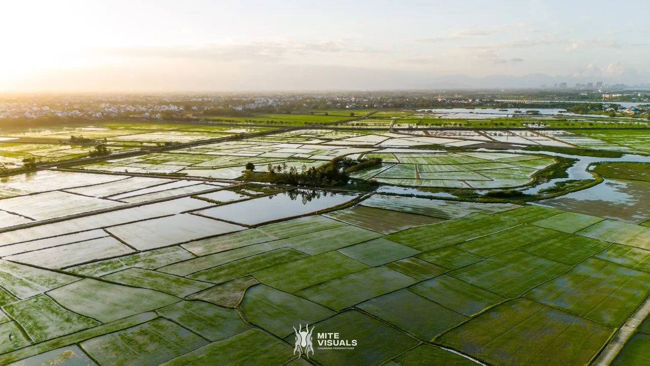 Stray Vietnam web @mitevisuals-516.jpg