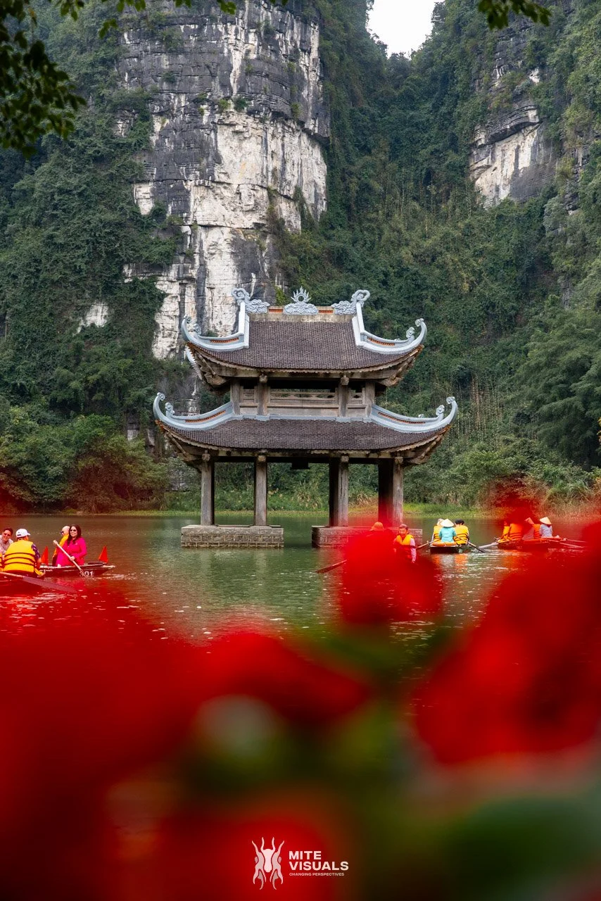 Stray Vietnam web @mitevisuals-117.jpg