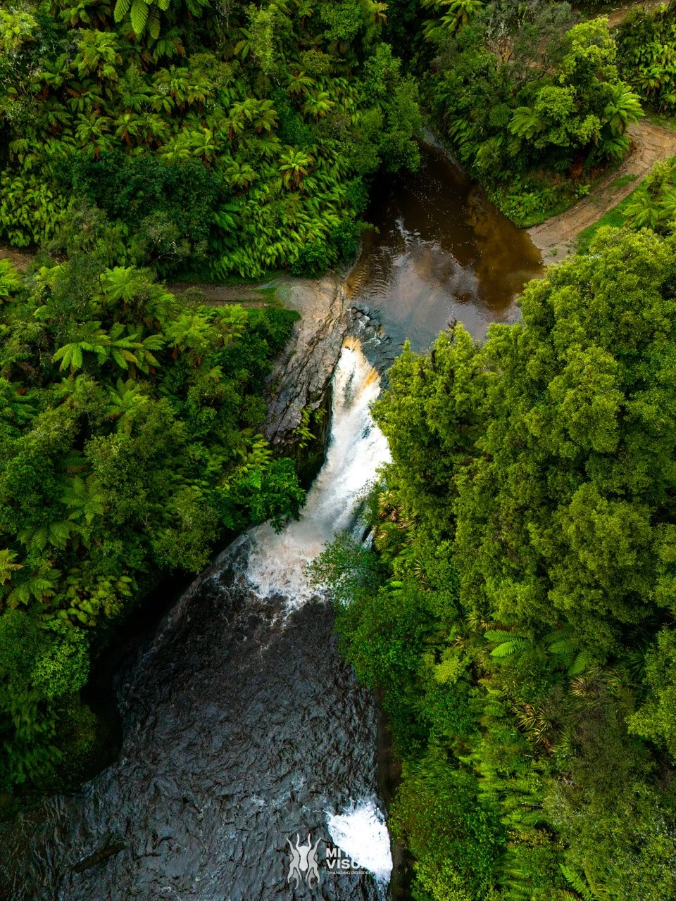 New Zealand 2026 web - Mite Visuals-226.jpg