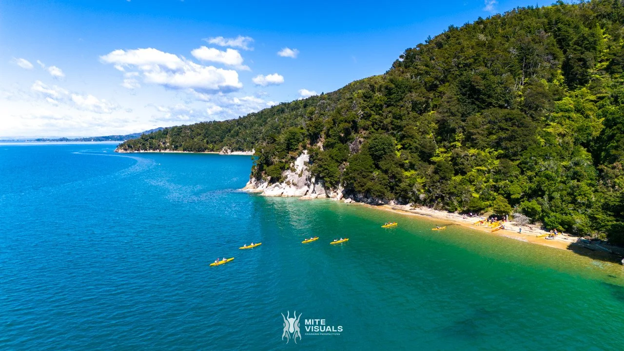 New Zealand 2026 web - Mite Visuals-439.jpg