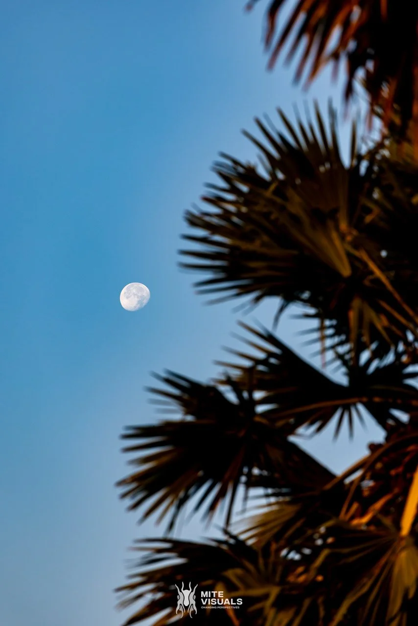 Cambodia 2026 web - Mite Visuals-41.jpg