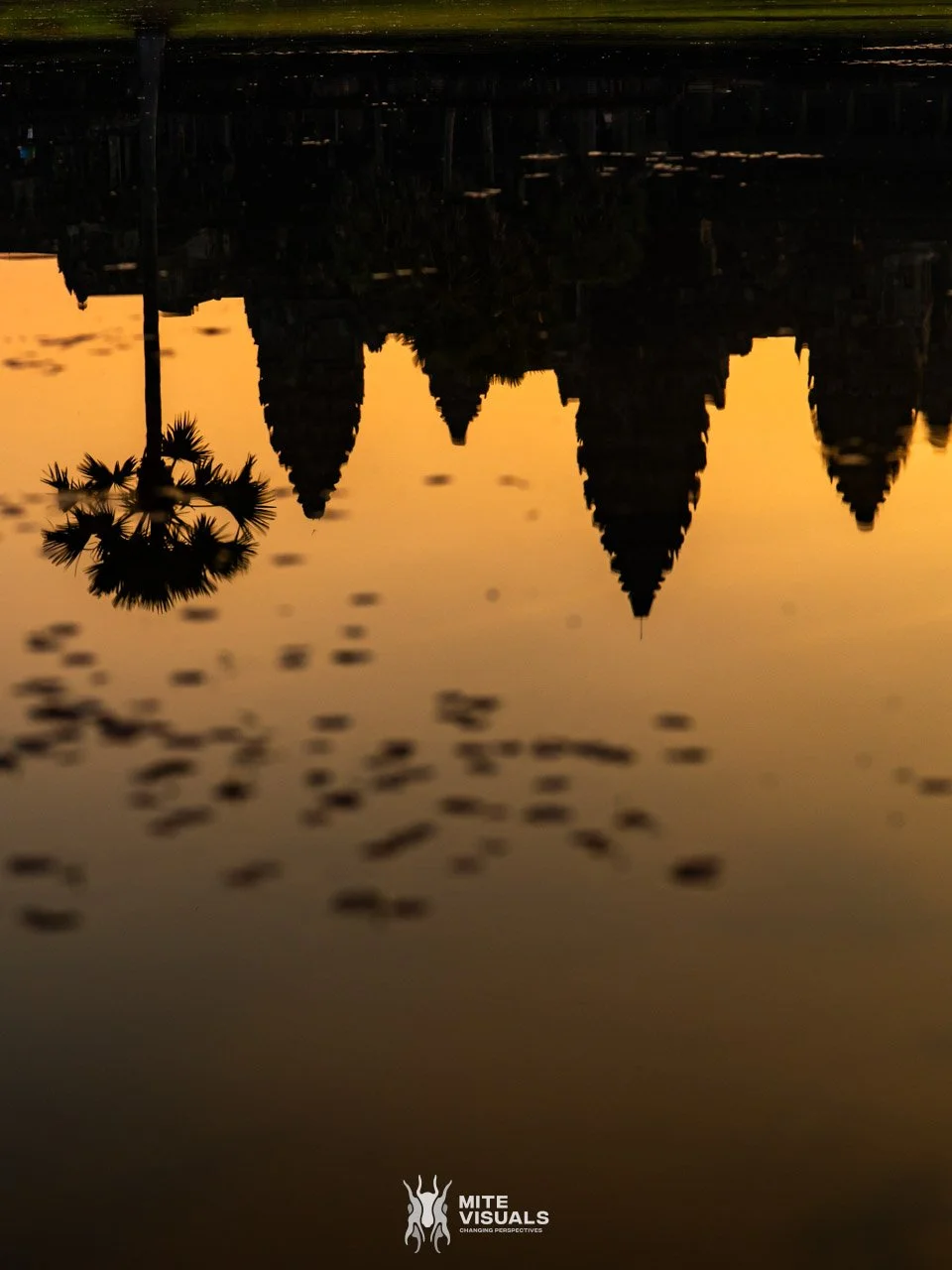 Cambodia 2026 web - Mite Visuals-37.jpg