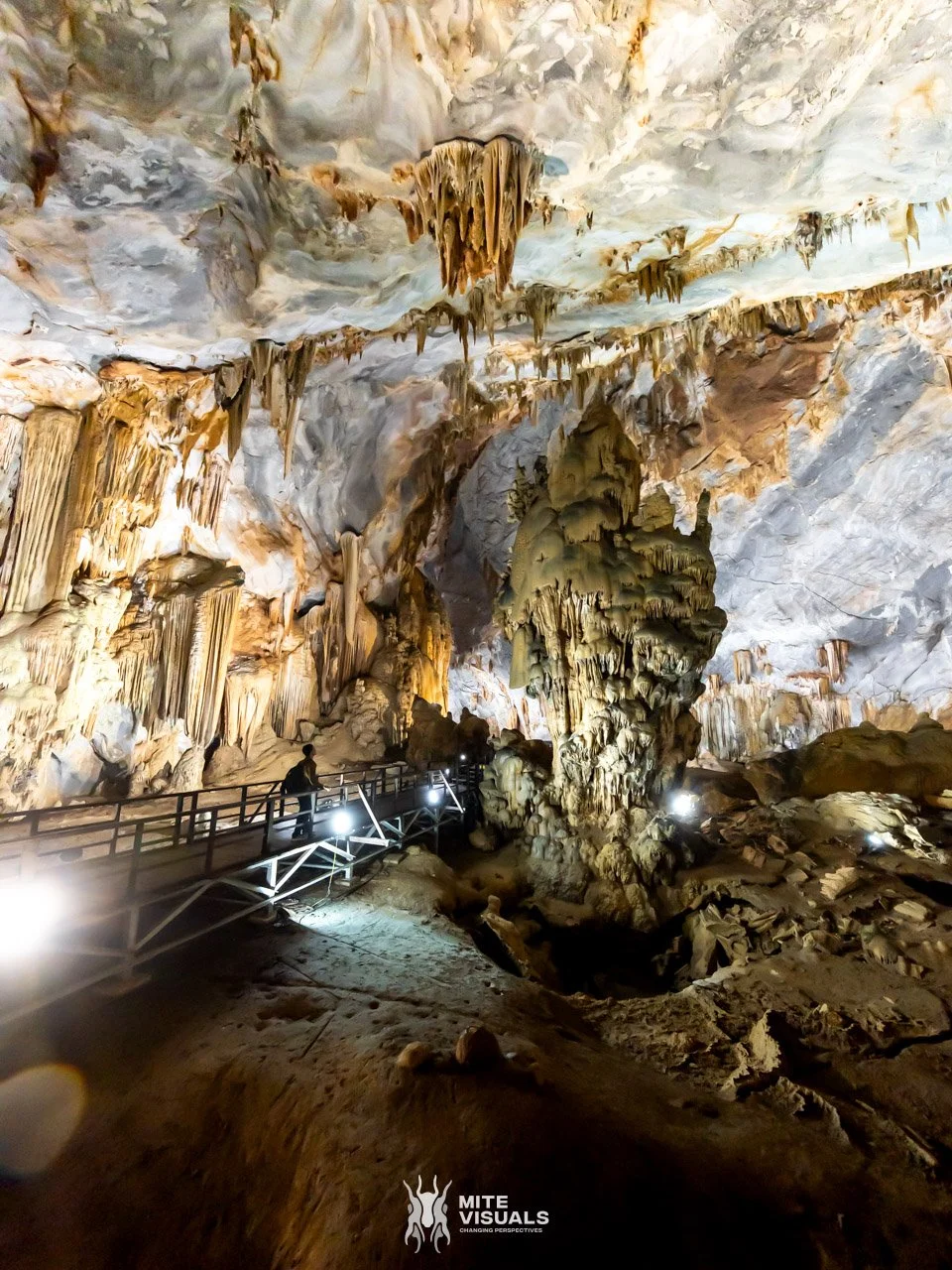 Stray Vietnam web @mitevisuals-216.jpg