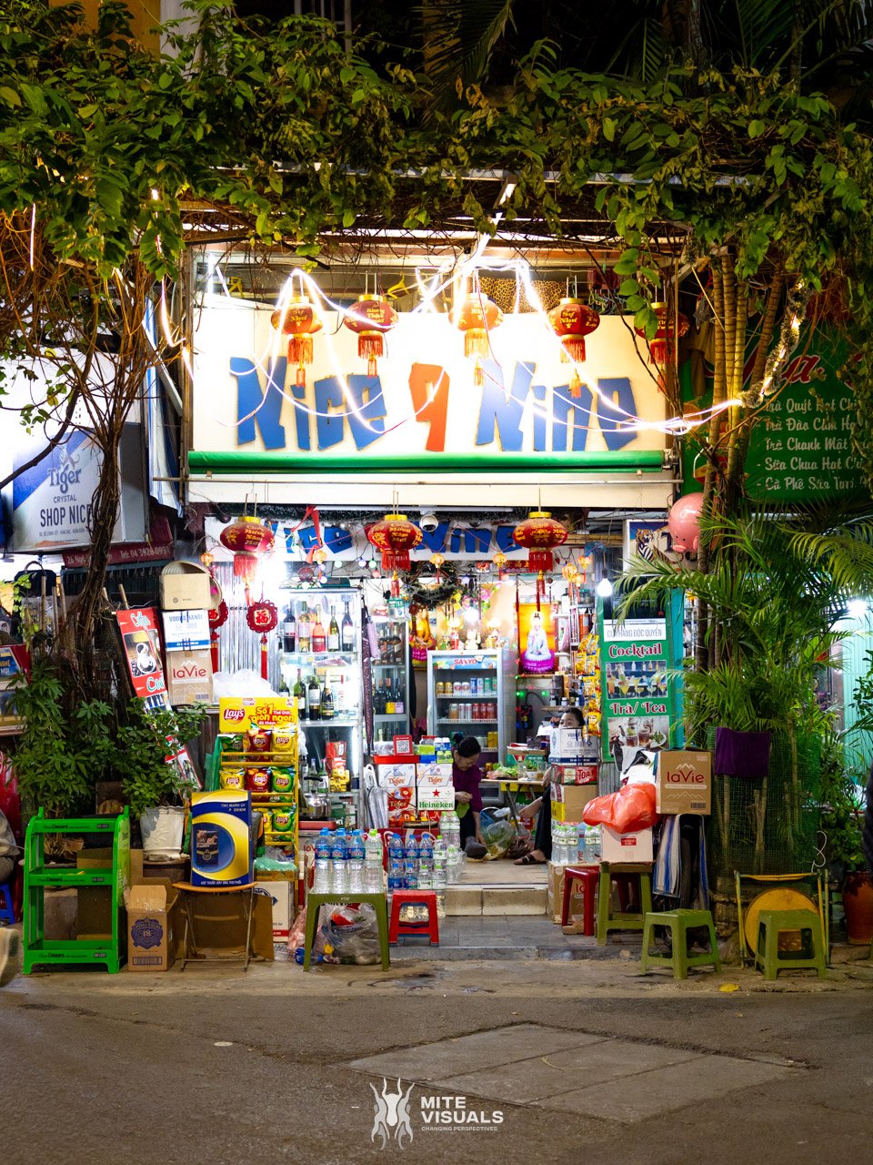 Stray Vietnam web @mitevisuals-77.jpg