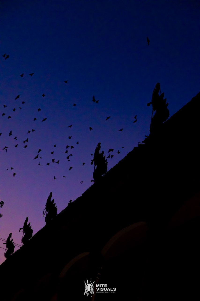 Cambodia 2026 web - Mite Visuals-121.jpg