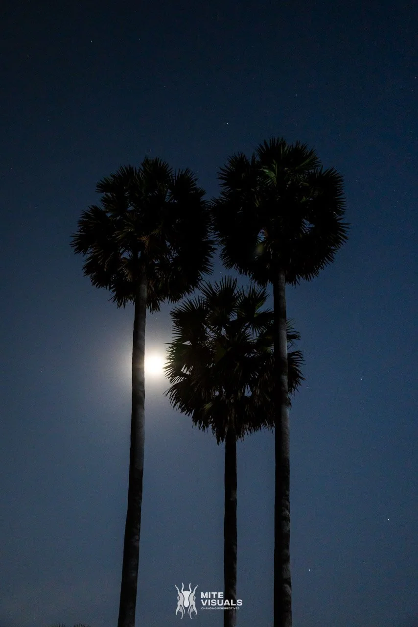 Cambodia 2026 web - Mite Visuals-17.jpg