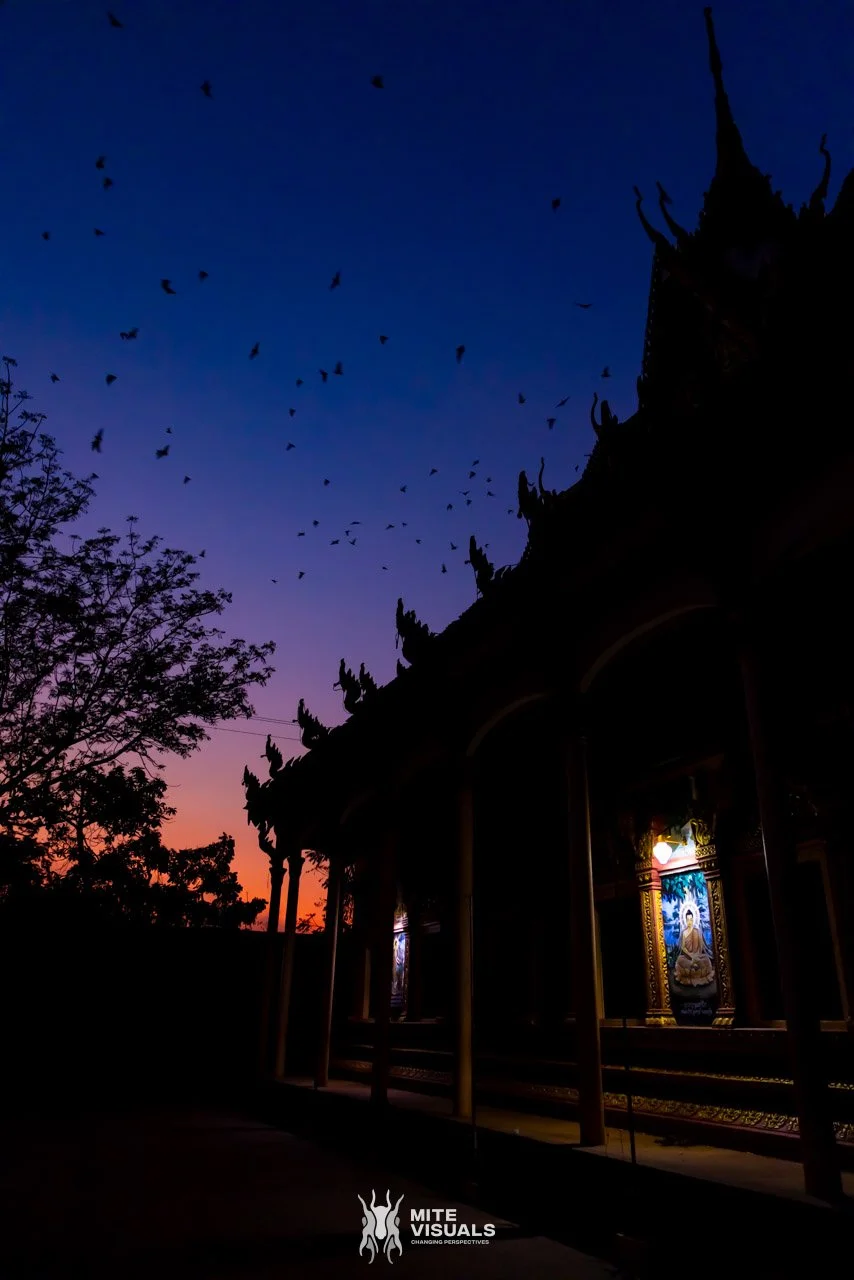 Cambodia 2026 web - Mite Visuals-119.jpg