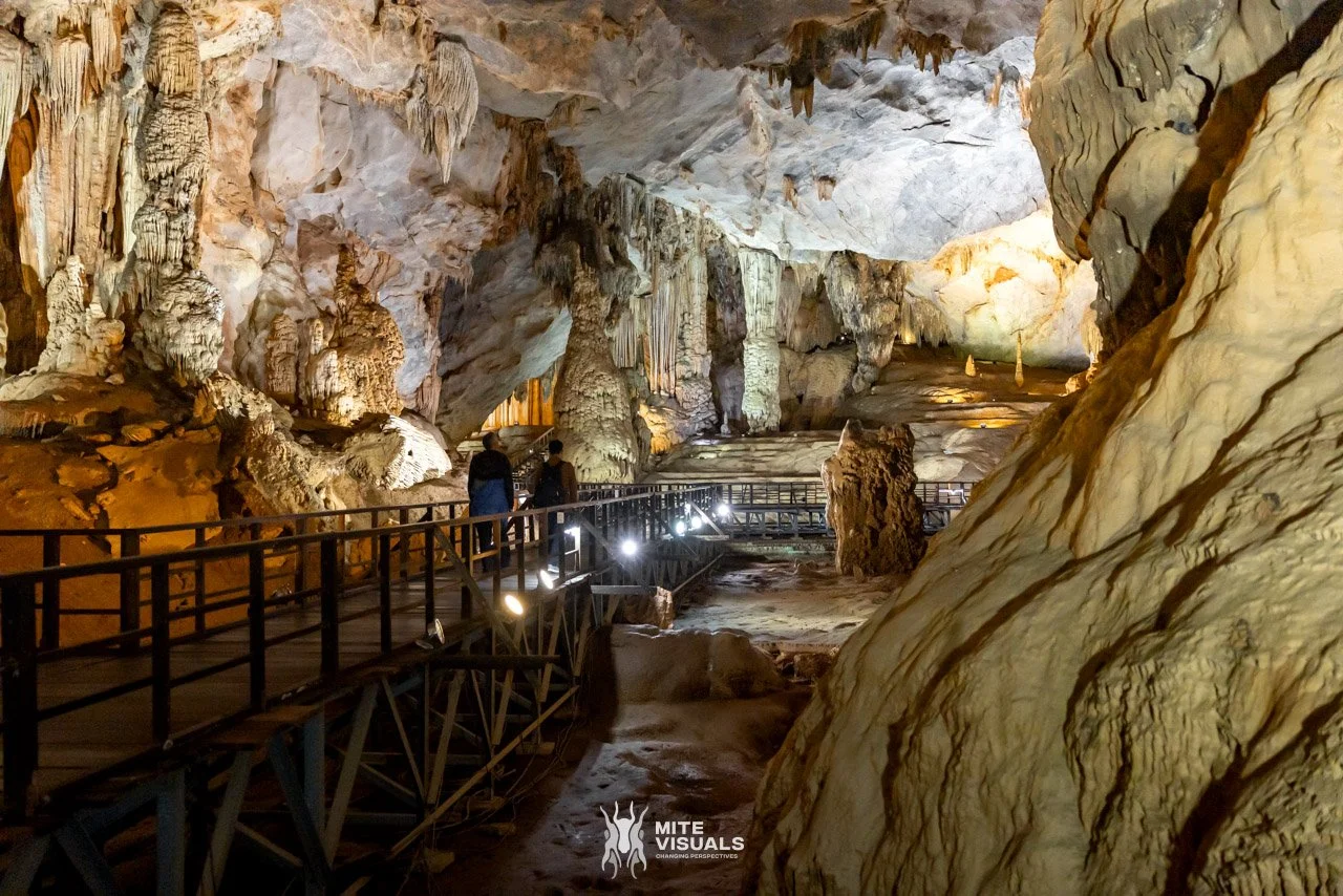 Stray Vietnam web @mitevisuals-189.jpg