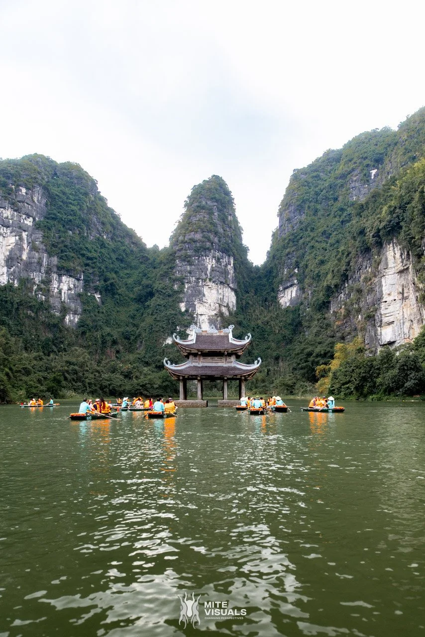 Stray Vietnam web @mitevisuals-119.jpg