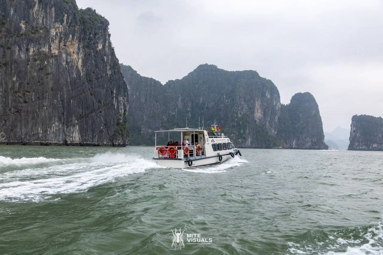 Stray Vietnam web @mitevisuals-137.jpg