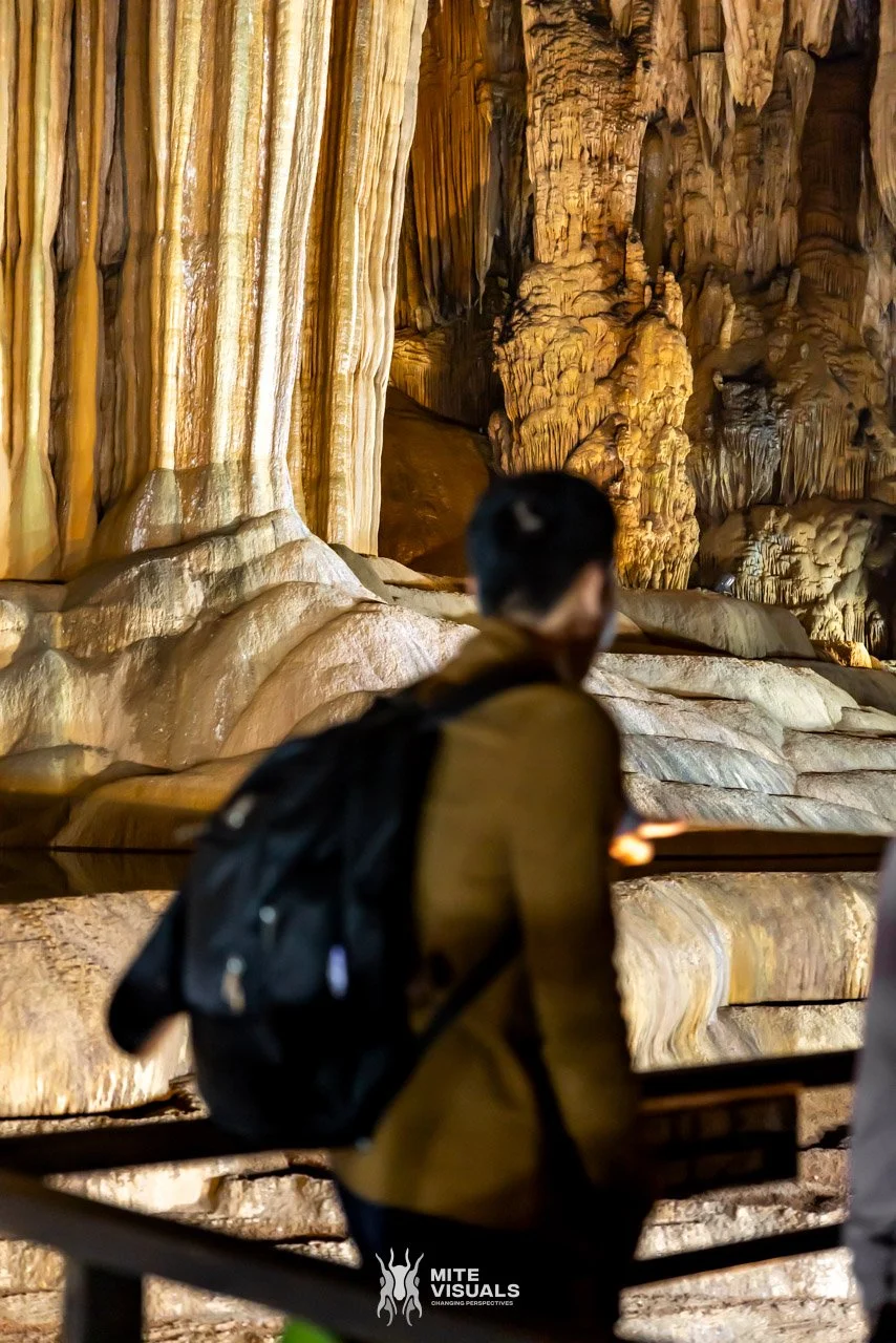 Stray Vietnam web @mitevisuals-233.jpg