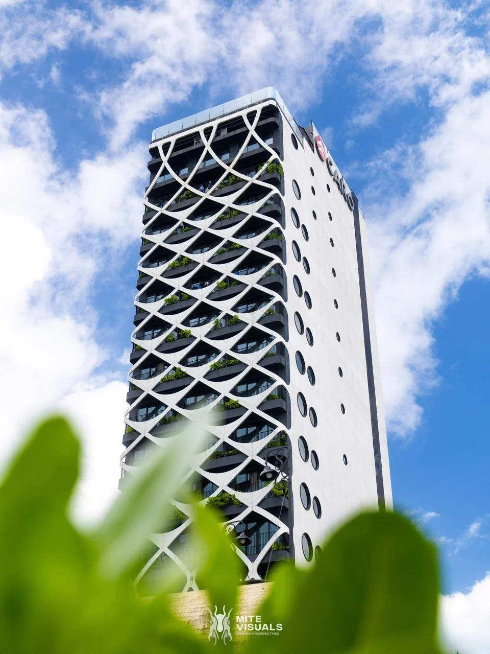 Stray Vietnam web @mitevisuals-431.jpg