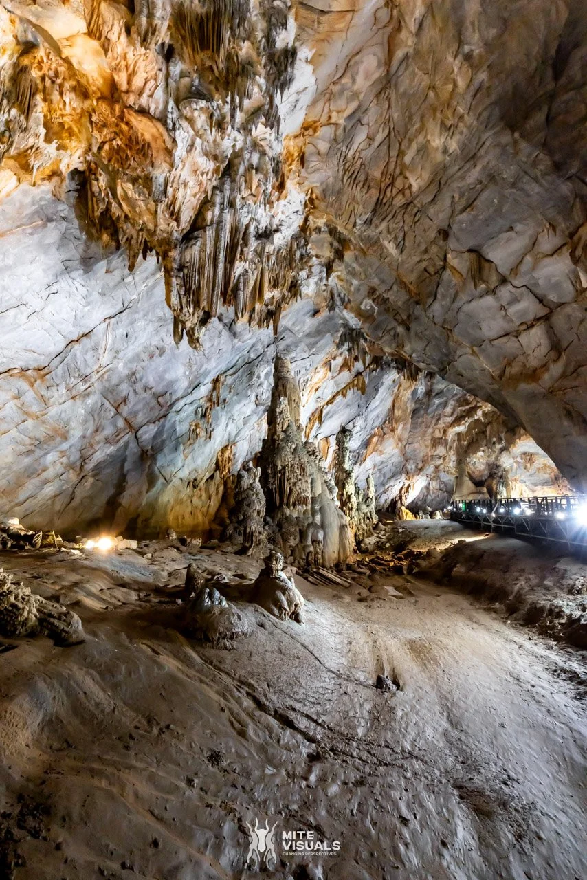 Stray Vietnam web @mitevisuals-219.jpg