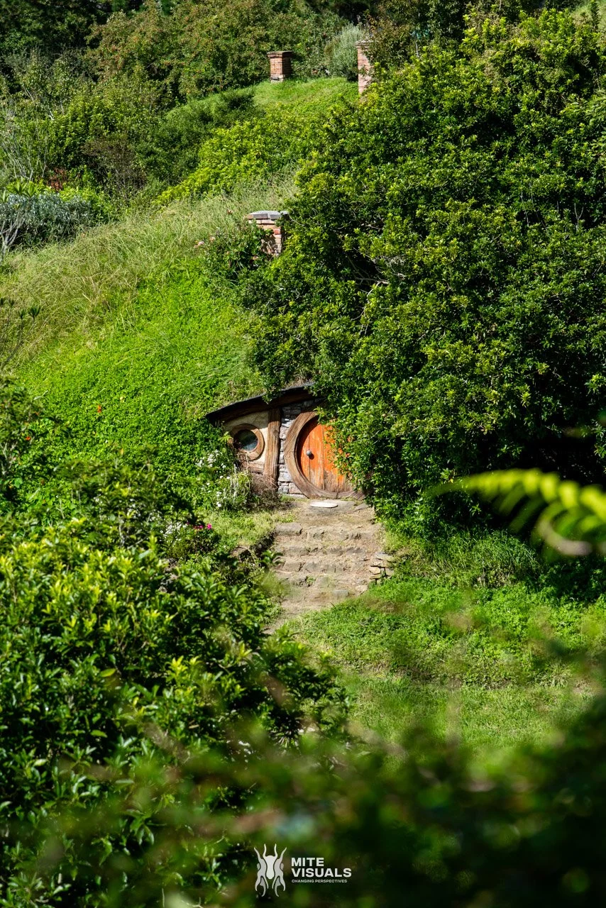 New Zealand 2026 web - Mite Visuals-23.jpg