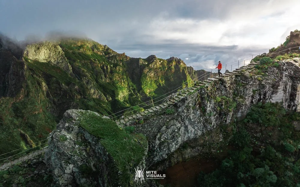 Madeira 2023 web @mitevisuals-111.jpg