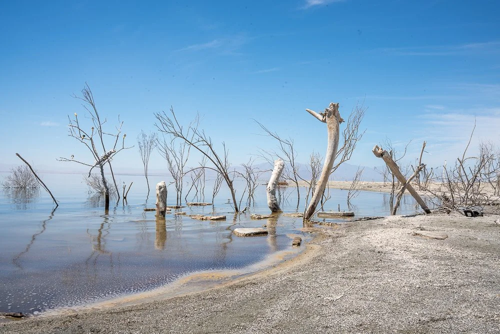 SALTON SEA, CALIFORNIA
