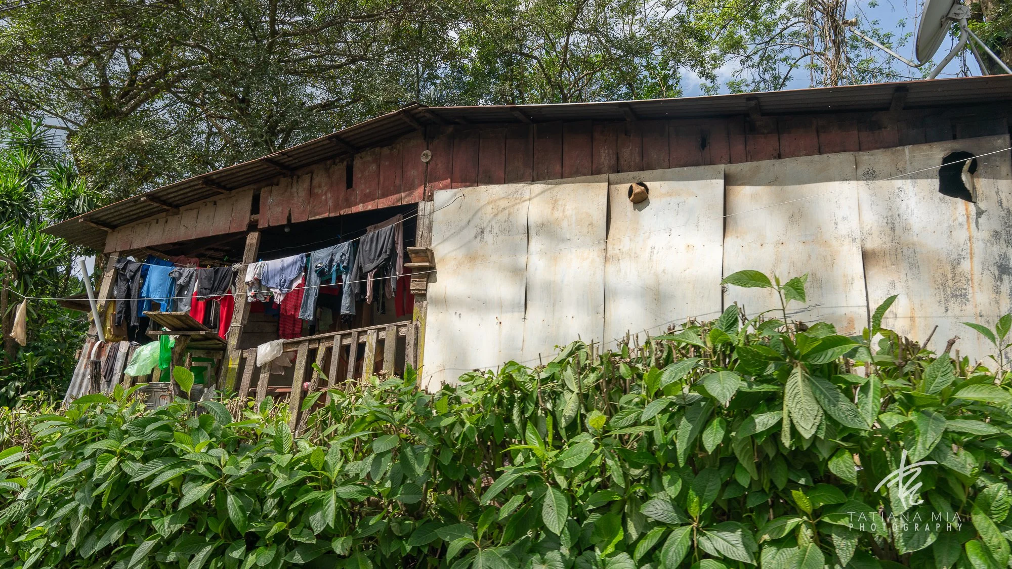 MONTE VERDE, COSTA RICA
