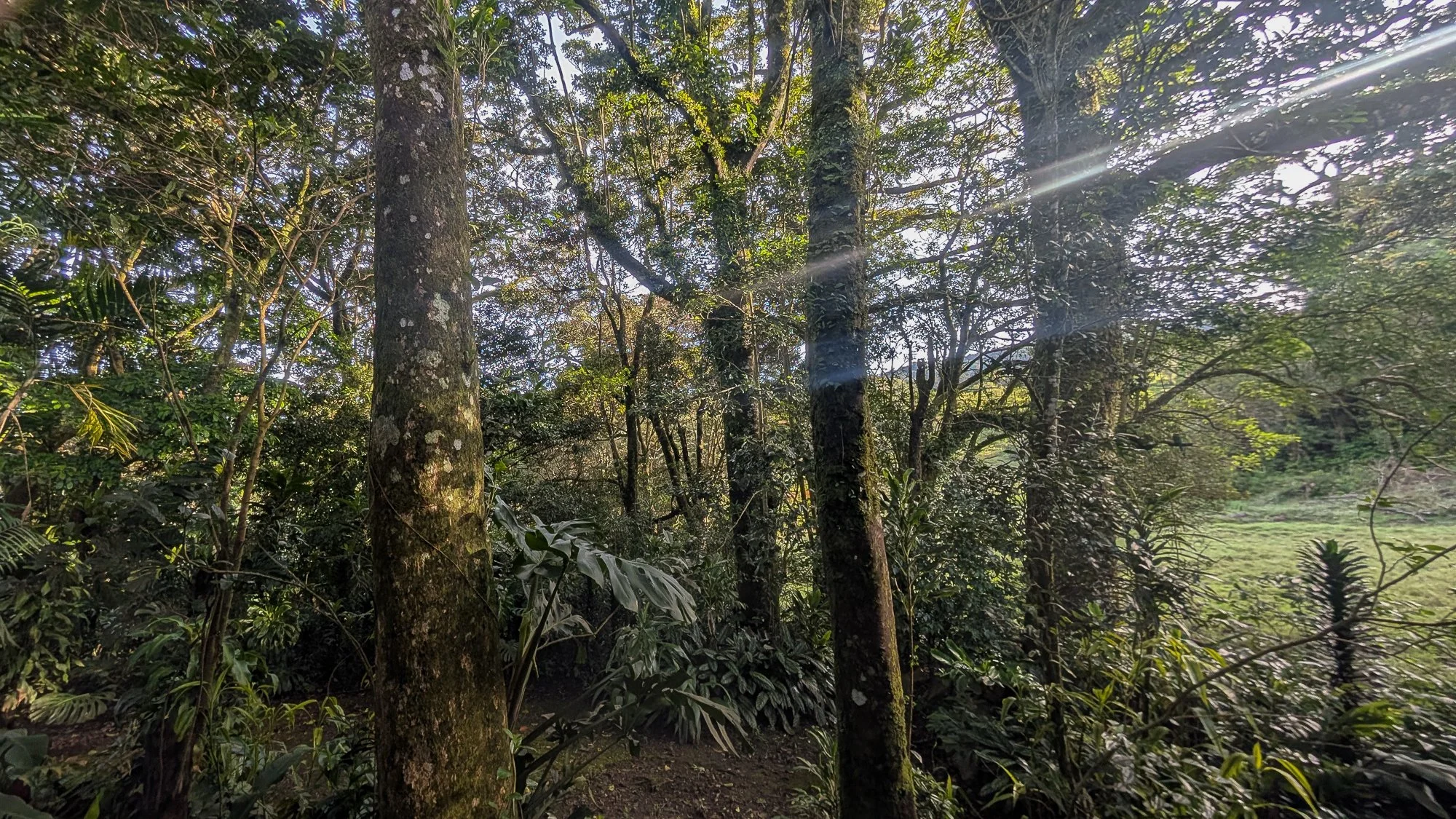 MONTE VERDE, COSTA RICA
