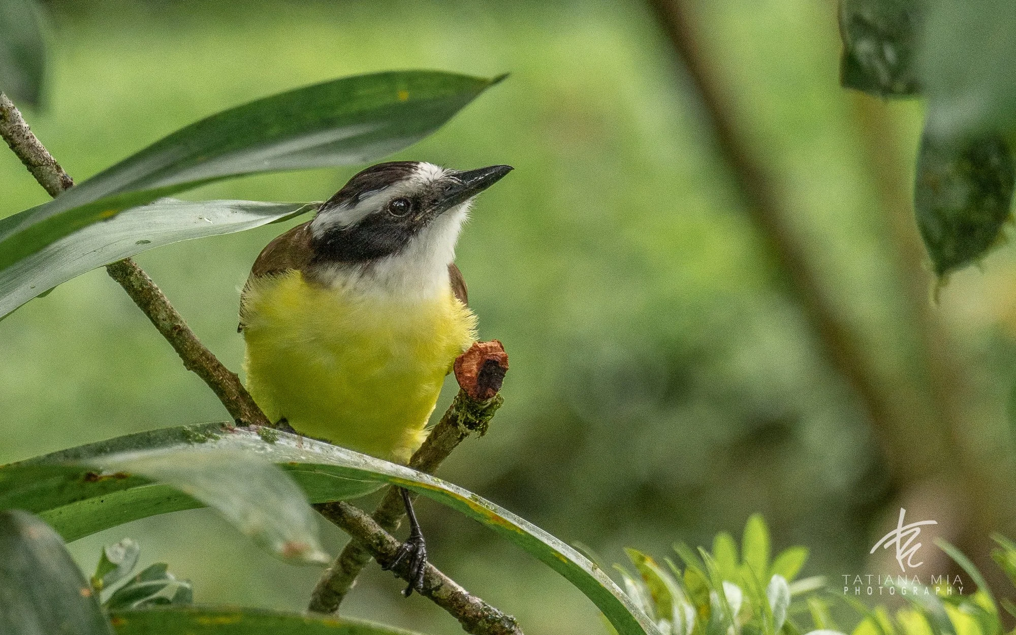 LA FORTUNA, COSTA RICA