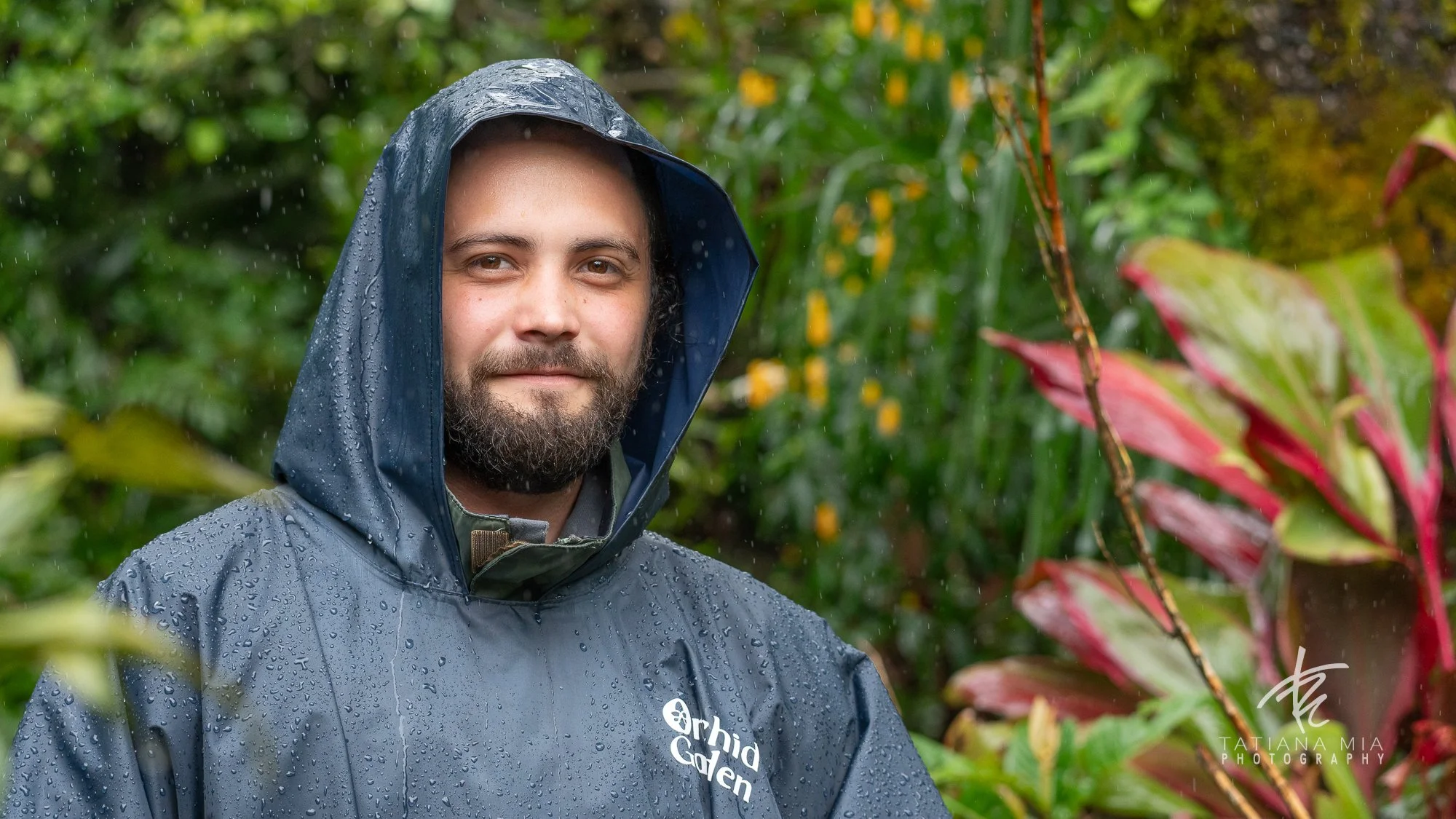 MONTE VERDE, COSTA RICA