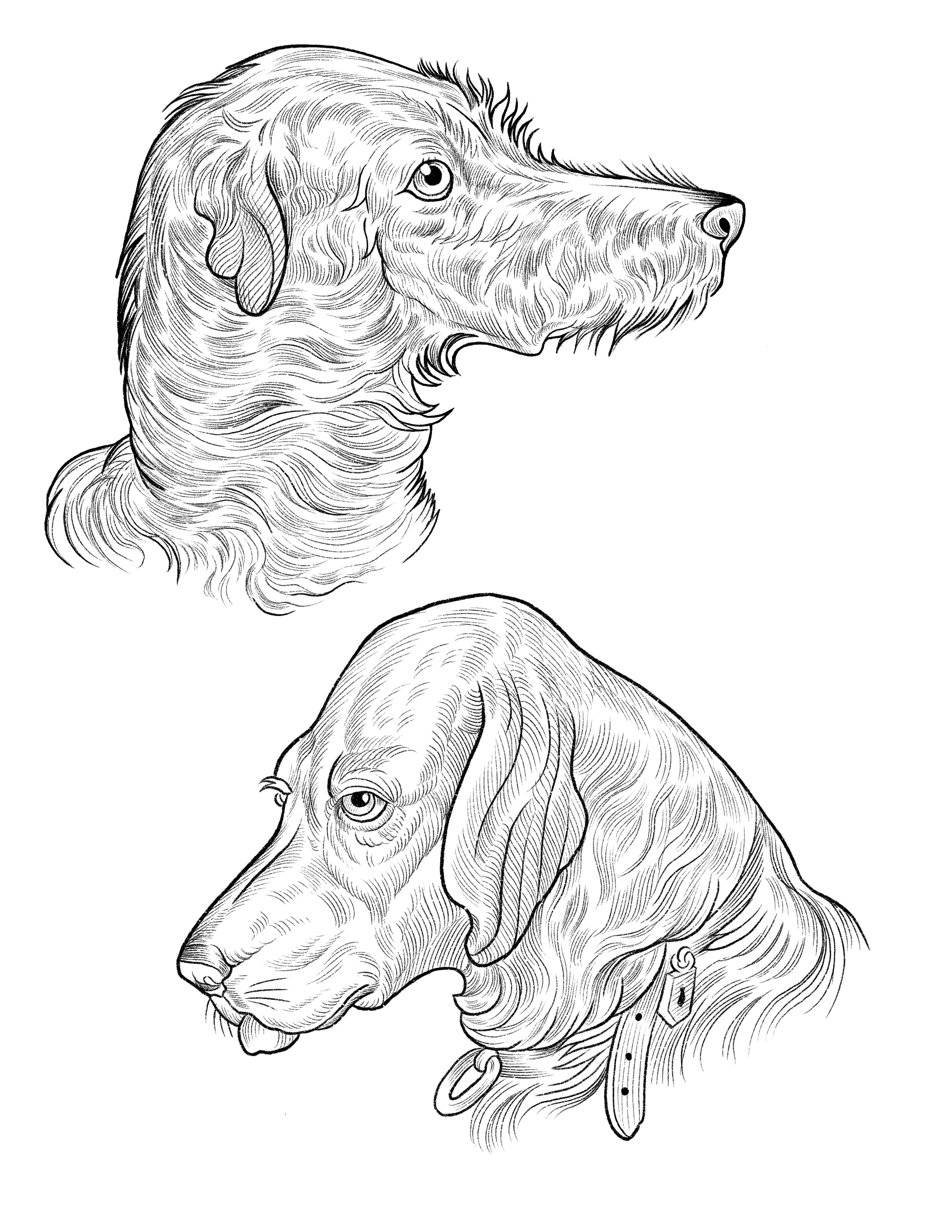 Untitled_Artwork 38.PNG