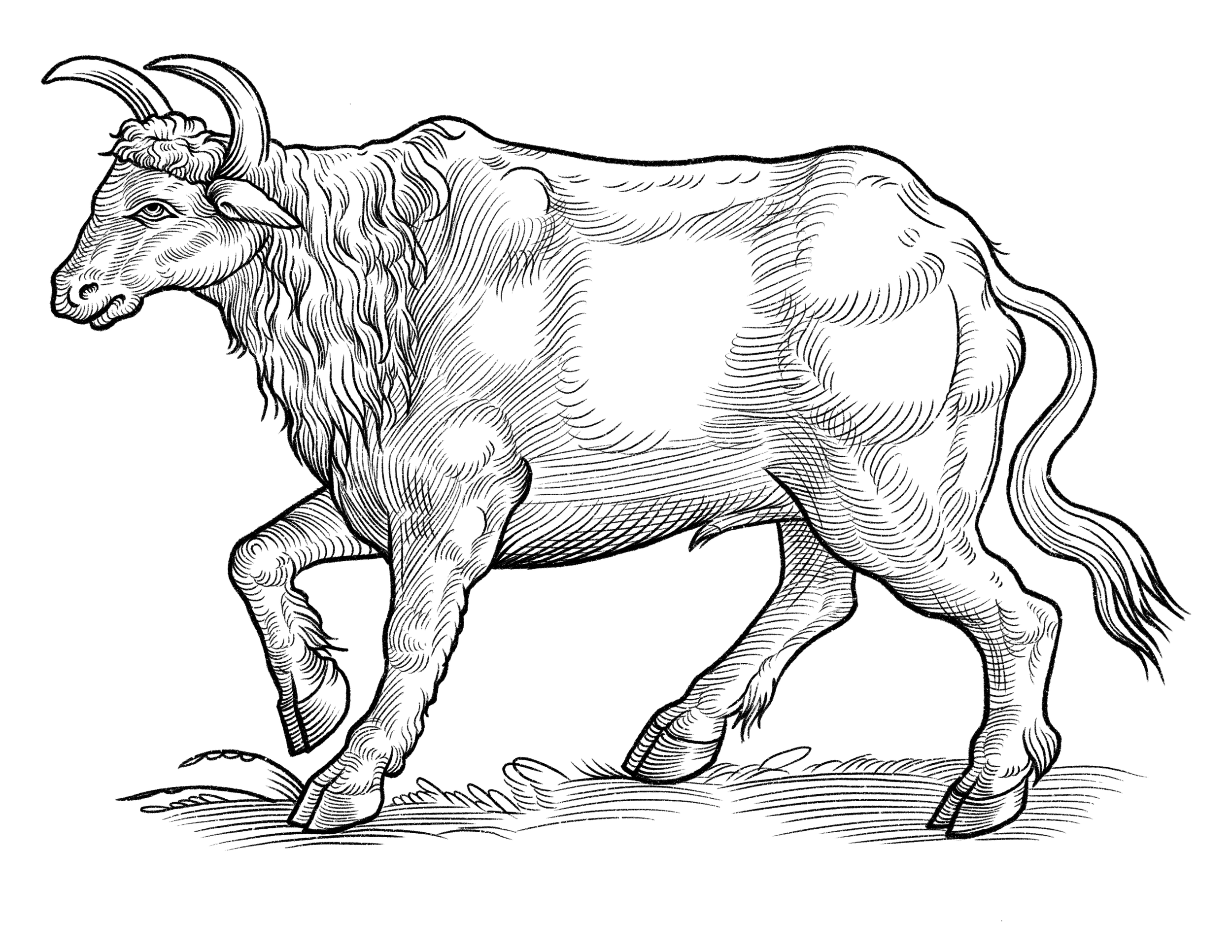 Untitled_Artwork 34.PNG