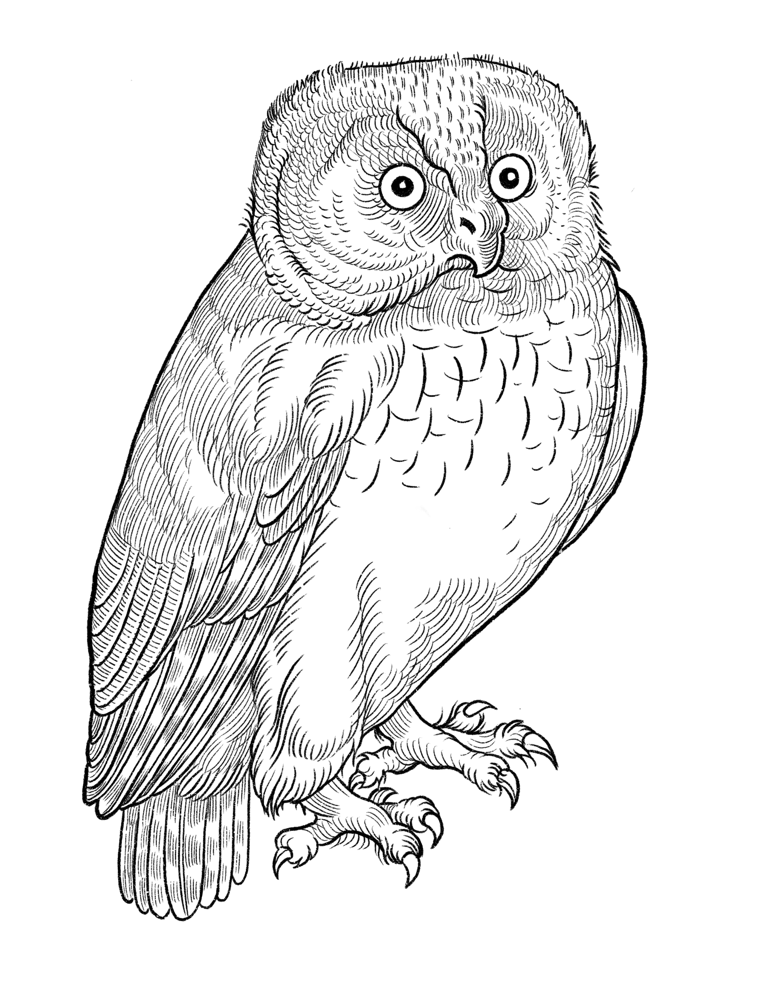 Untitled_Artwork 35.PNG