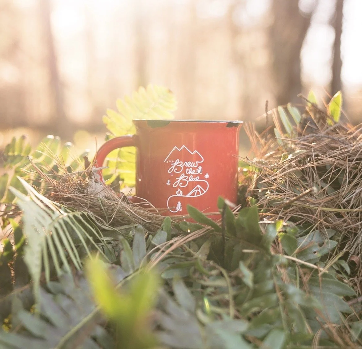 Brew the Blue design, photo: Alan Garvick