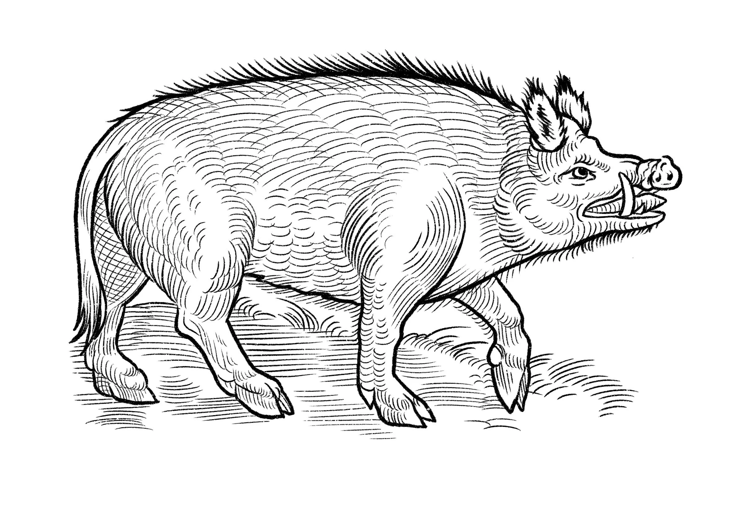 Untitled_Artwork 3.jpg