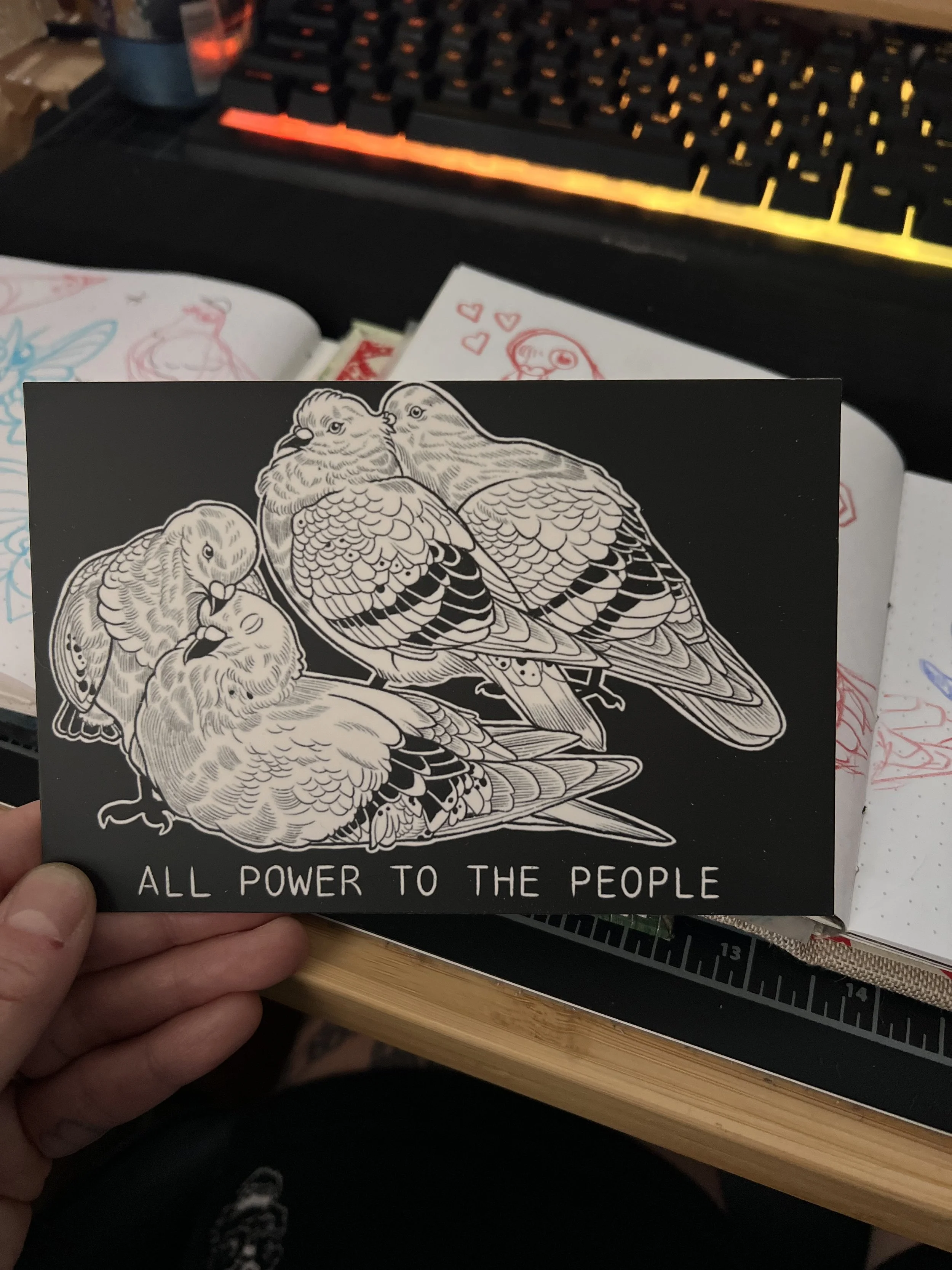 Pigeons Postcard Print