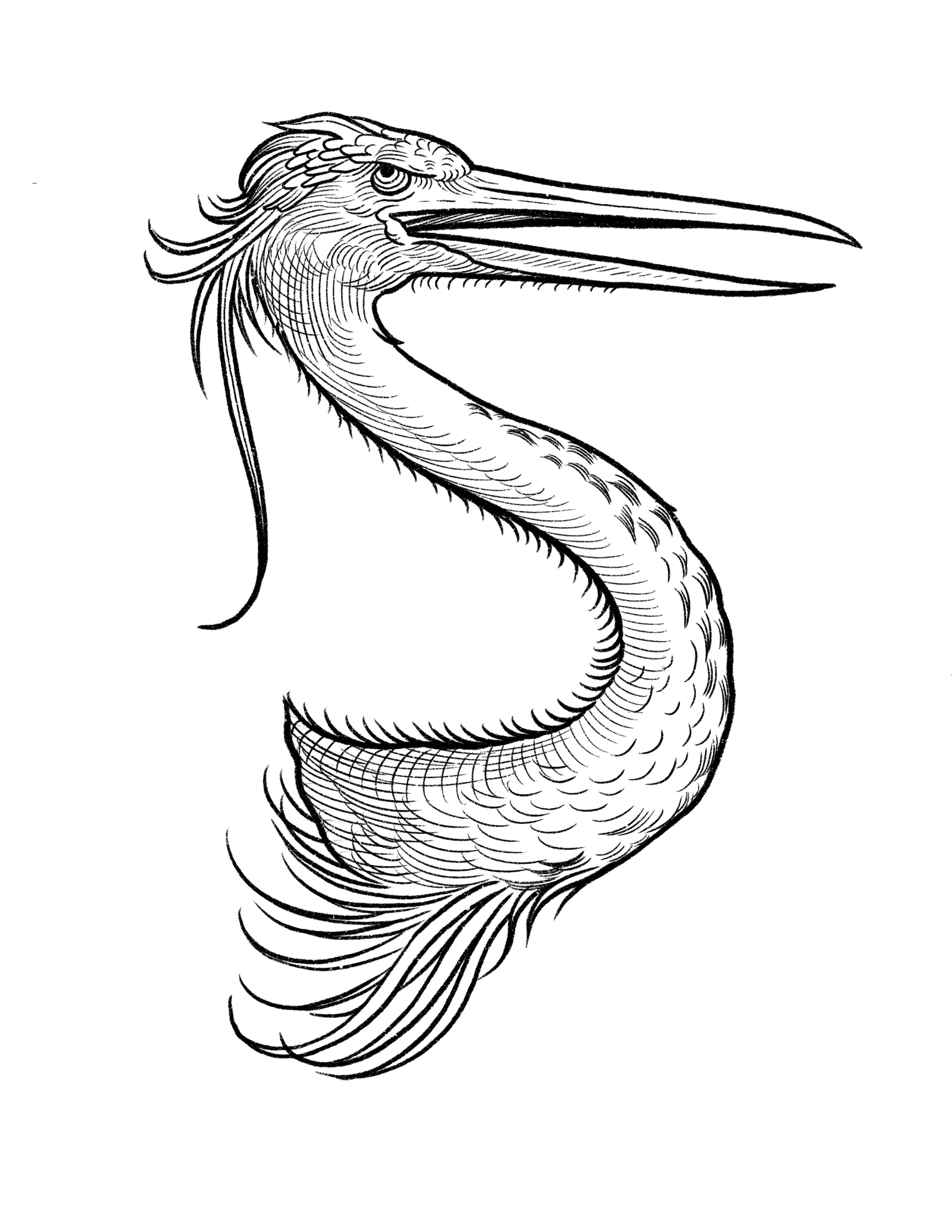 Untitled_Artwork 37.PNG