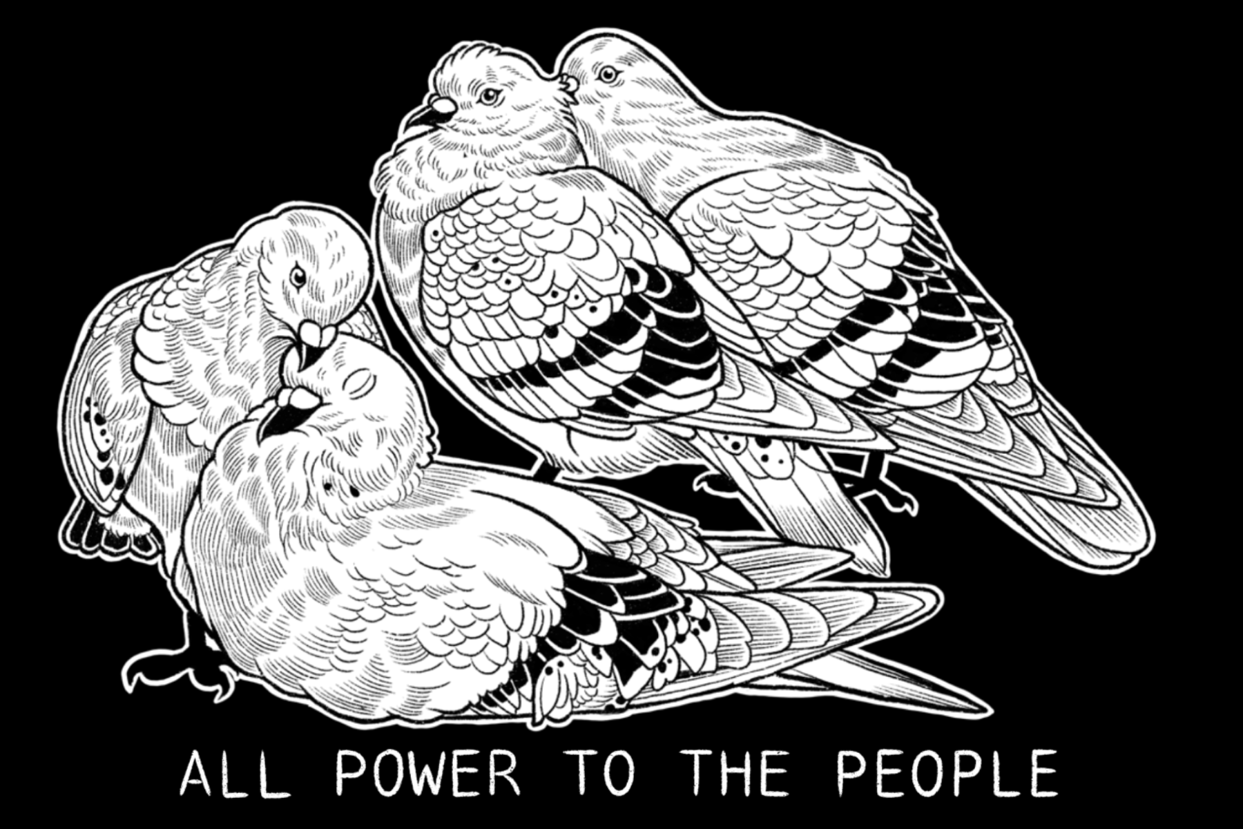 pigeon4by6.png