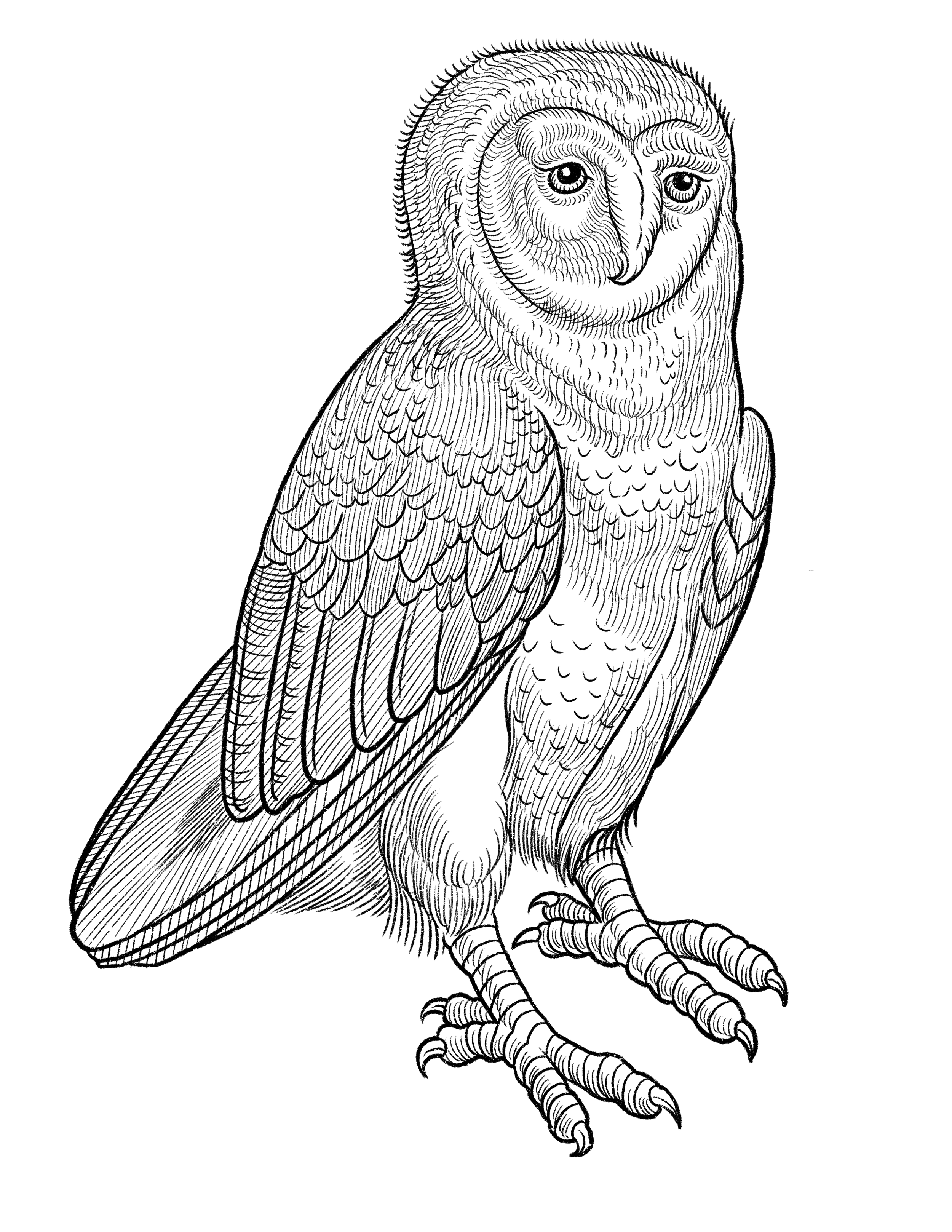 Untitled_Artwork 36.PNG