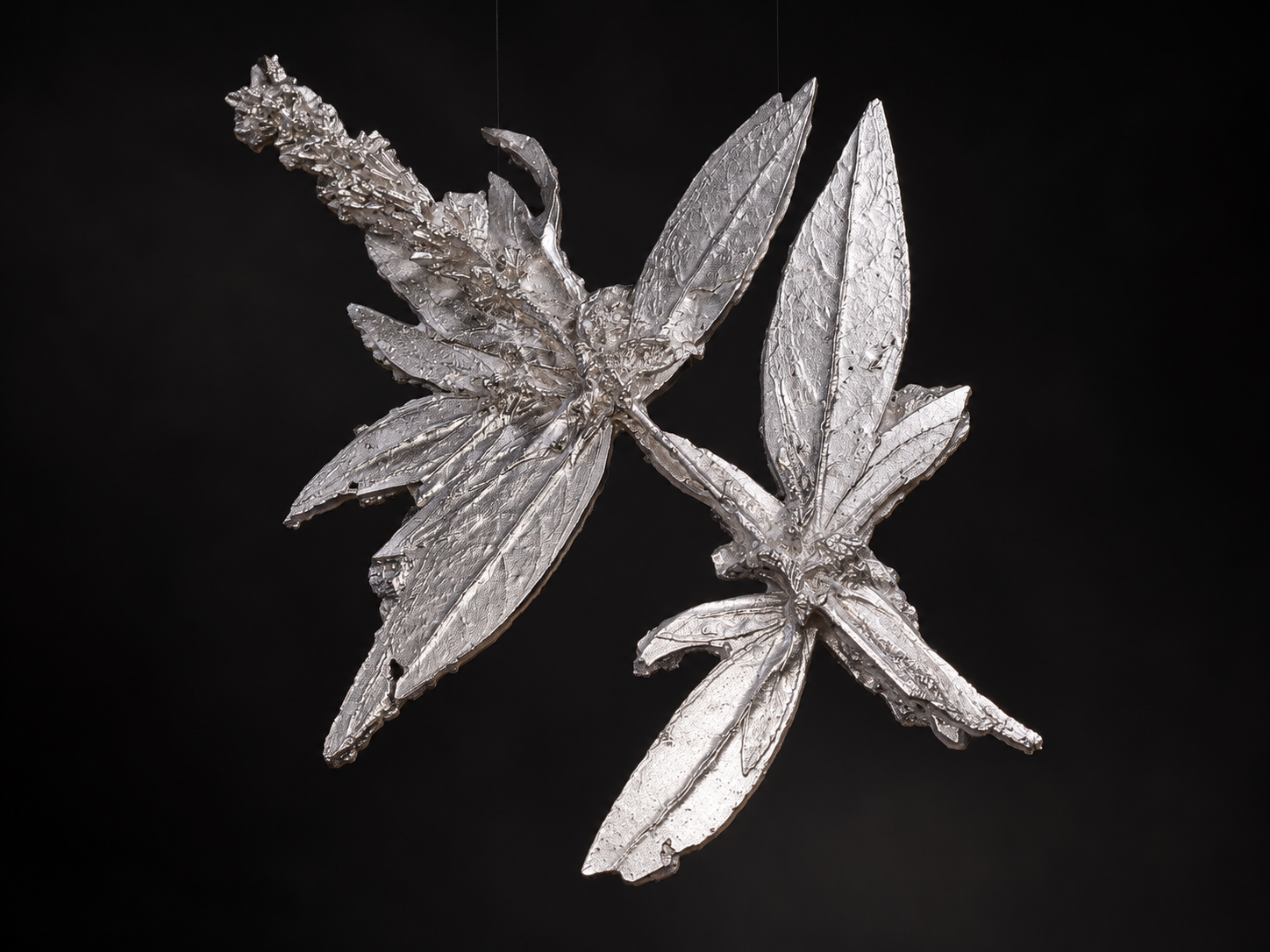 Aftergrowth by Elaine Ford Scottish artist, ecologist and explorer. Aluminium sculpture