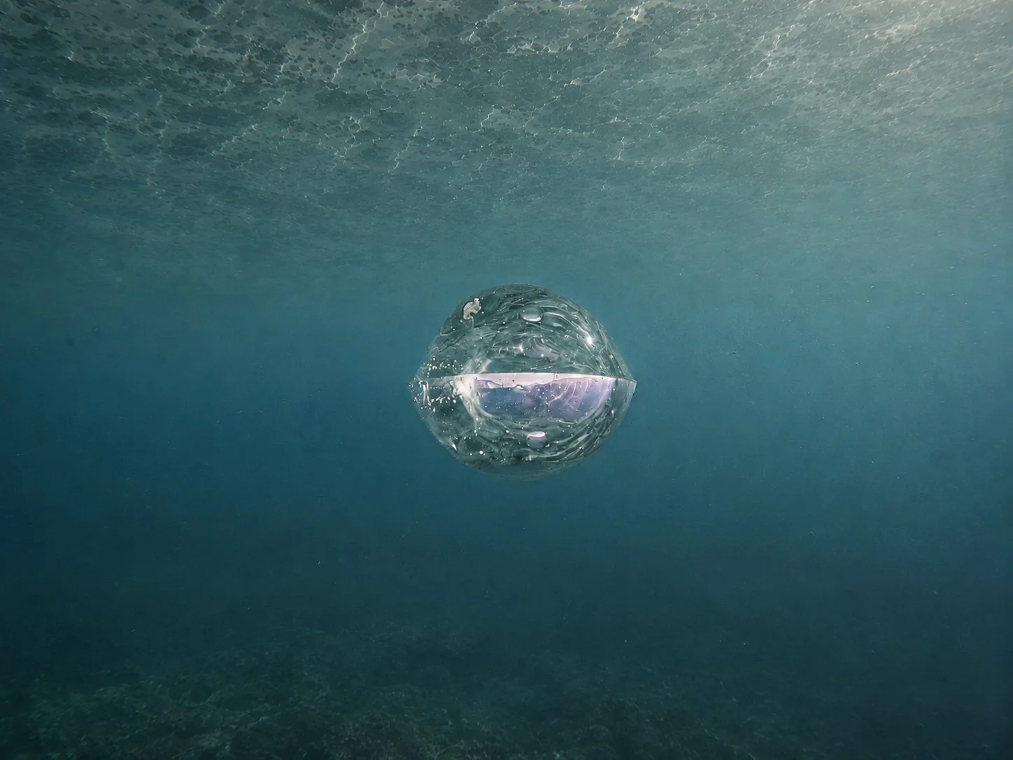hand-blown glass and underwater photography. Title: Floating Forest. Contemporary Art. Artist: Elaine Ford. Borneo, 2026. Ecology and Art.