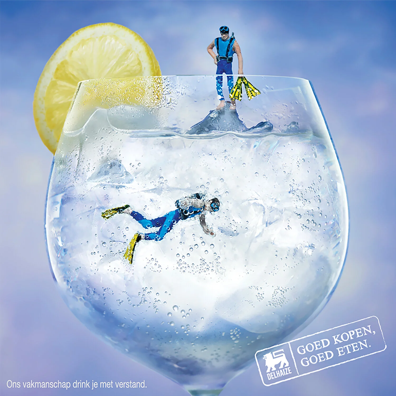 delhaize_gin.jpg
