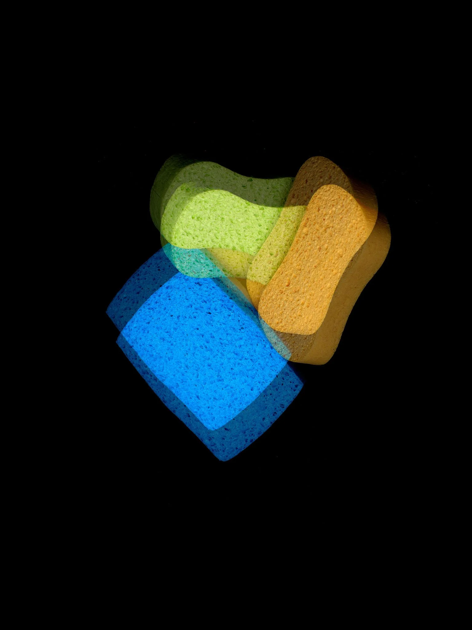 sponge046A.jpg