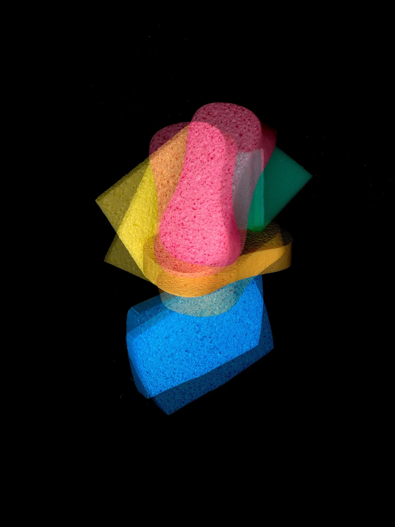 sponge028C.jpg