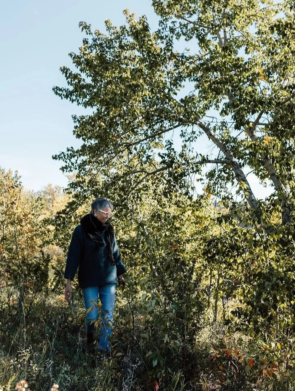 Do you long for a place to grow your business in community, not in isolation? 

Aspen trees teach us that thriving happens in community. Above ground, each tree stands on its own, while beneath the soil they are connected by vast root systems, quietl