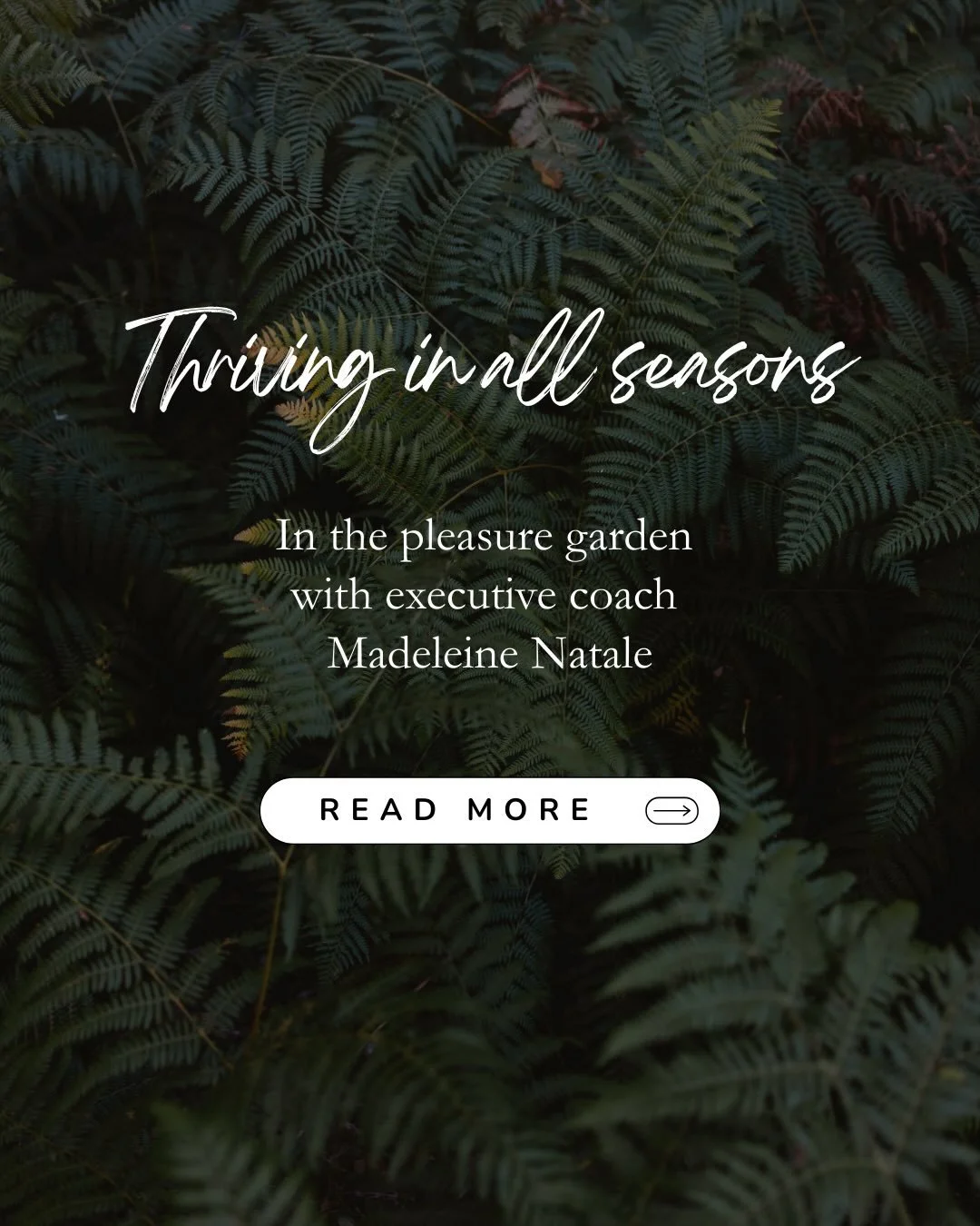 Every time I connect with Madeleine Natale @madeleine.n.coaching I&rsquo;m struck by the same things: her intelligence, her depth, and her kindness. She has the ability to hold complexity with gentleness, and that shows up so clearly in how she liste