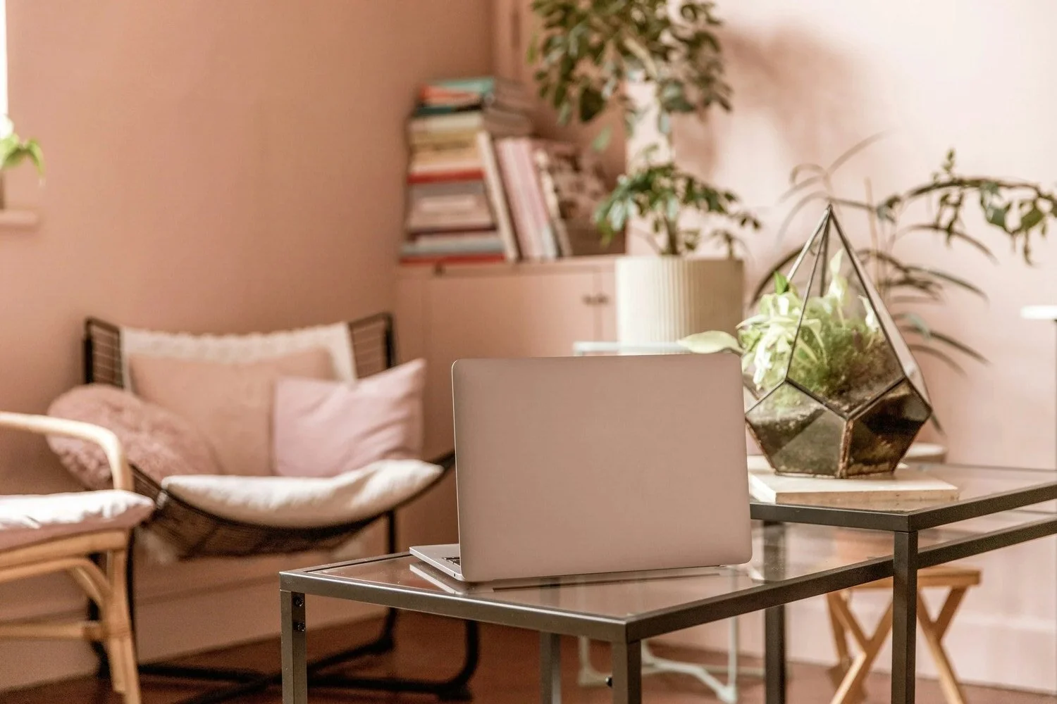 Living room with a laptop on a glass table, a terrarium with plants, a rattan bench with cushions, and a bookshelf with books and plants in the background.