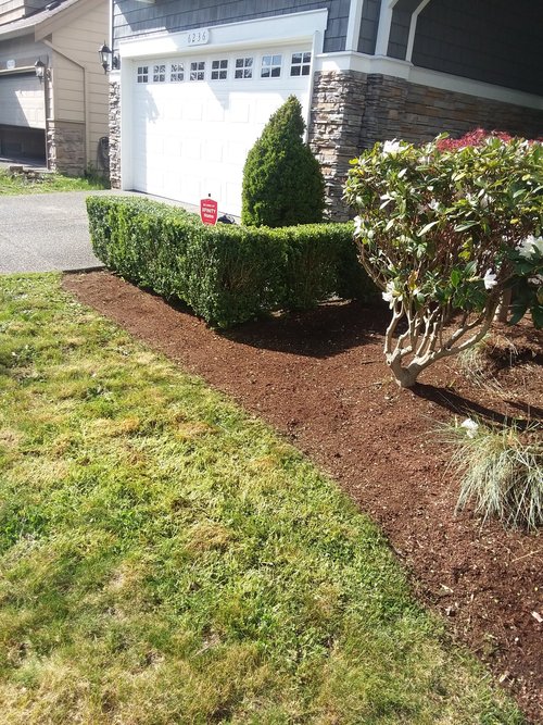 M E Tree Landscaping, Paradise Landscaping And Tree Removal