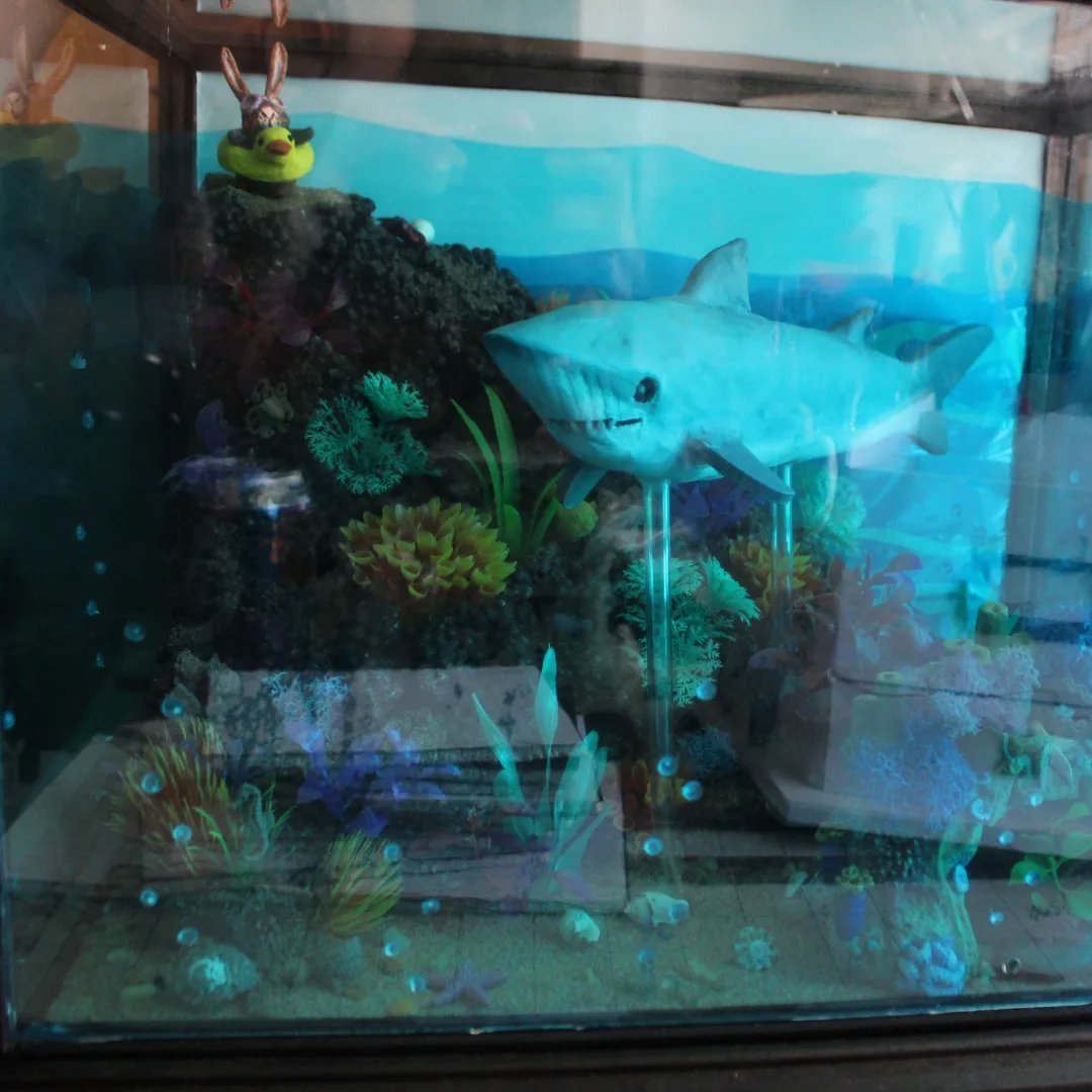 IMG_20220613_114031_408.png