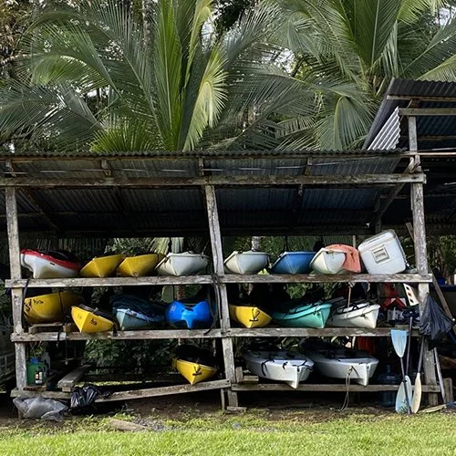 kayaks.jpeg